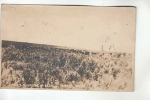 Real Photo Postcard Rounding Up Cattle Rupert ID - Picture 1 of 1