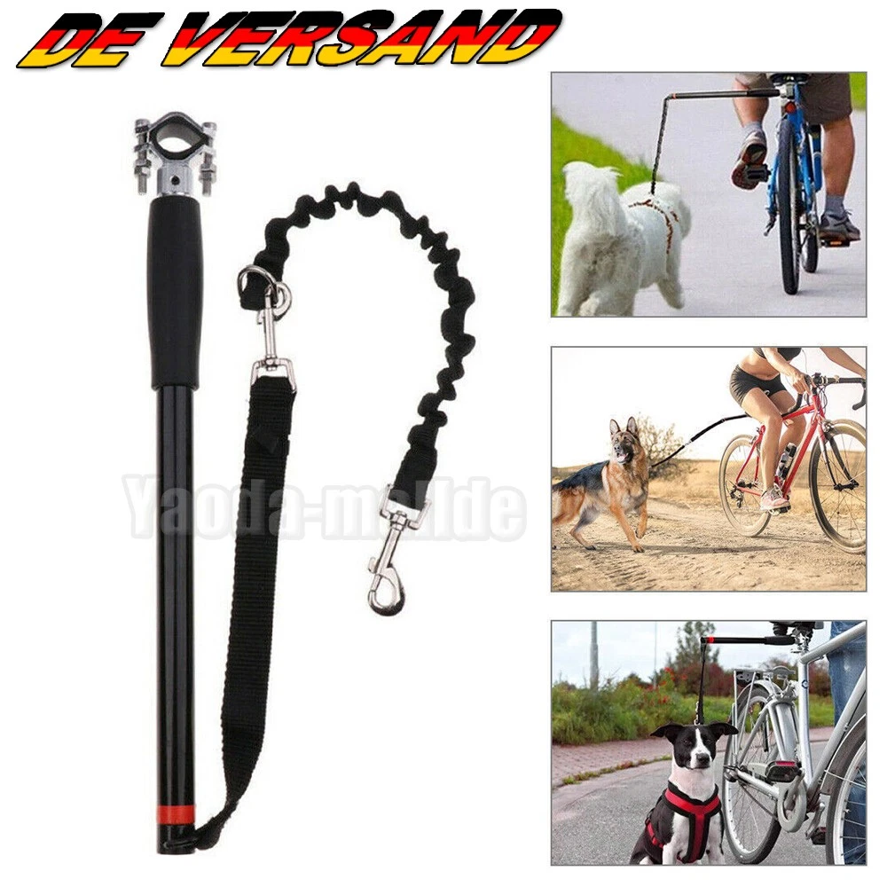 Robuste Hundeleine Aus Aluminium Mit Ledergriff – 96,5 Cm Metallleine Mit Sicherheitshaken – Stylisches Accessoire Für Deinen Hund