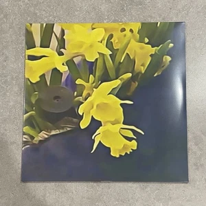 Dean Blunt & Elias Rønnenfelt Lucre Vinyl LP 180g *Read Description* (Sealed) - Picture 1 of 5