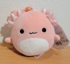 Squishmallow 3.5 in Clip Archie Pink Axolotl Kellytoy NEW NWT