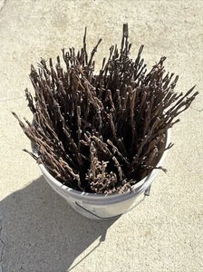 Rusty Barb Wire 14 Inch strands. Sharp old rustic look for crafting decor. - Picture 1 of 5