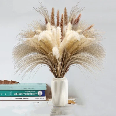 Batidor de cola de caballo boho cebada cola de conejo hierba pequeño ramo de flores de caña seca Foto 1 de 4
