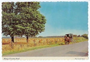 Amish Pferd & Buggy Indiana Postkarte entlang einer Landstraße - Bild 1 von 2