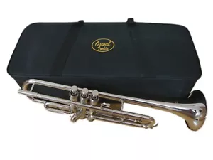 Tromba nuova tromba argento BB FLAT concerto band tromba + CUSTODIA RIGIDA GR... - Foto 1 di 5