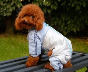Small Dog Puppy Jumpsuit Winter Warm Jacket Bue Color Size M - Picture 1 of 12