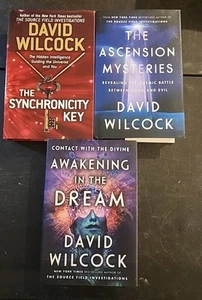Menge 3 David Wilcock Hardcover Bücher Erwachen im Traum, Synchronizitätsschlüssel - Bild 1 von 8