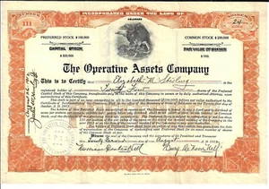 DELAWARE 1912 The Operative Assets Company Stock Certificate - Bild 1 von 2