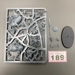 DARKOATH FELLRIDER STANDARD IKONENTRÄGER CHAOS WILDE KAVALLERIE AGE OF SIGMAR - Bild 1 von 1