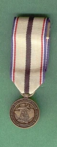TEXAS NATIONAL GUARD DESERT STORM SERVICE MEDAL - Picture 1 of 1