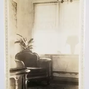 Vintage Photo Glowing Light Filled Room Still Life Furniture Plant Windows - Picture 1 of 7