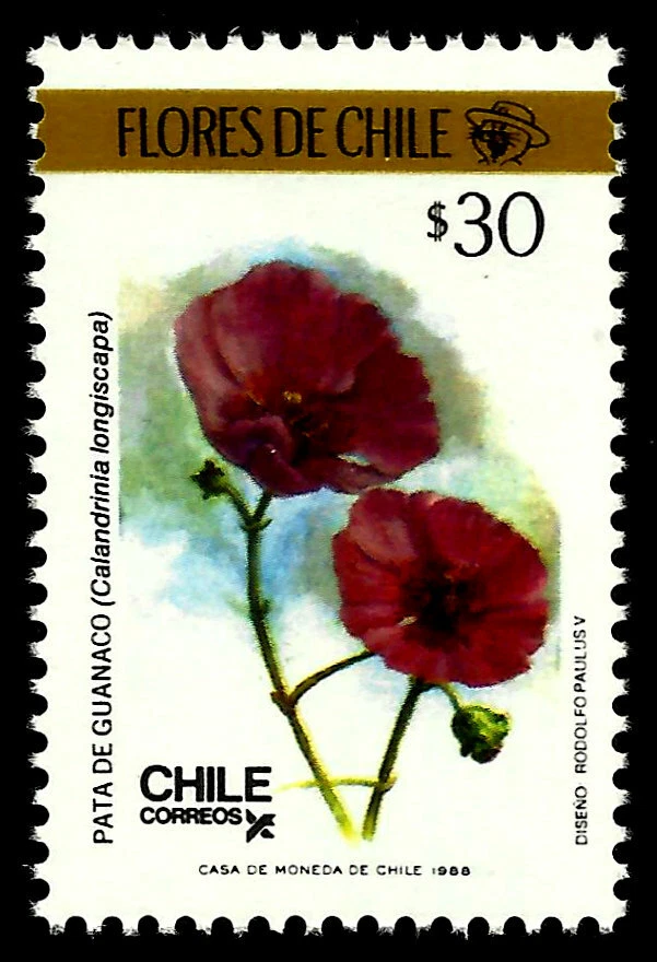 FLORES SILVESTRES CHILENAS, PATA DE GUANACO, CALANDRINIA LONGISCAPA, AÑO 1988, MNH Foto 1 de 1