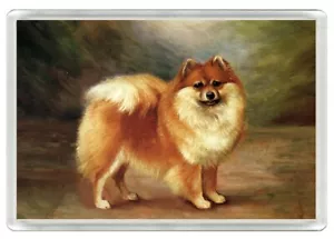 POMERANIAN CHARMING DOG ART PRINT NOVELTY FRIDGE MAGNET GREAT GIFT - Picture 1 of 1