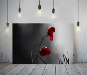 PAPAVERO FLOREALE - TELA CORNICE PROFONDA DA PARETE ARTE STAMPA CARTA DA IMMAGINE - ROSSO NERO - Foto 1 di 15