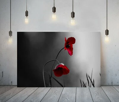 FLORAL POPPY -DEEP FRAMED CANVAS WALL ART PICTURE PAPER PRINT- RED BLACK - Image 1 of 4