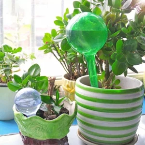 4X Plant Self Watering Bulb Clear Water Globe Feeder Indoor Garden Automatic NEW - Picture 1 of 17