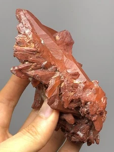 Cristallo di quarzo rosso punto a grappolo Marocco 10,2 oz N37 - Foto 1 di 12