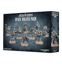 SPACE WOLVES PACK Warhammer 40000 Grey Hunters Wolf Guard 10 miniatures