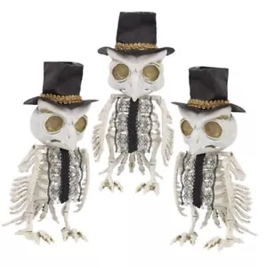 Confezione 3 Scheletri Halloween Gufo Decorazione, Animali a Grandezza Naturale Scheletri Plastica - Foto 1 di 8