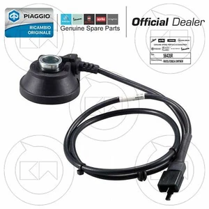 TRASMISSIONE RINVIO CONTACHILOMETRI ORIGINALE PIAGGIO BEVERLY 200 2001 2002 2003 - Imagen 1 de 2