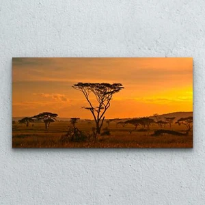 Wandbilder Glasbild Druck auf Glas 100x50 Afrikanischer Sonnenuntergang Park - Bild 1 von 7