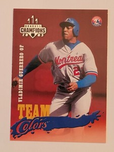 2003 Donruss Champions Team Colors - Vladimir Guerrero #TC-30 - Montreal Expos 