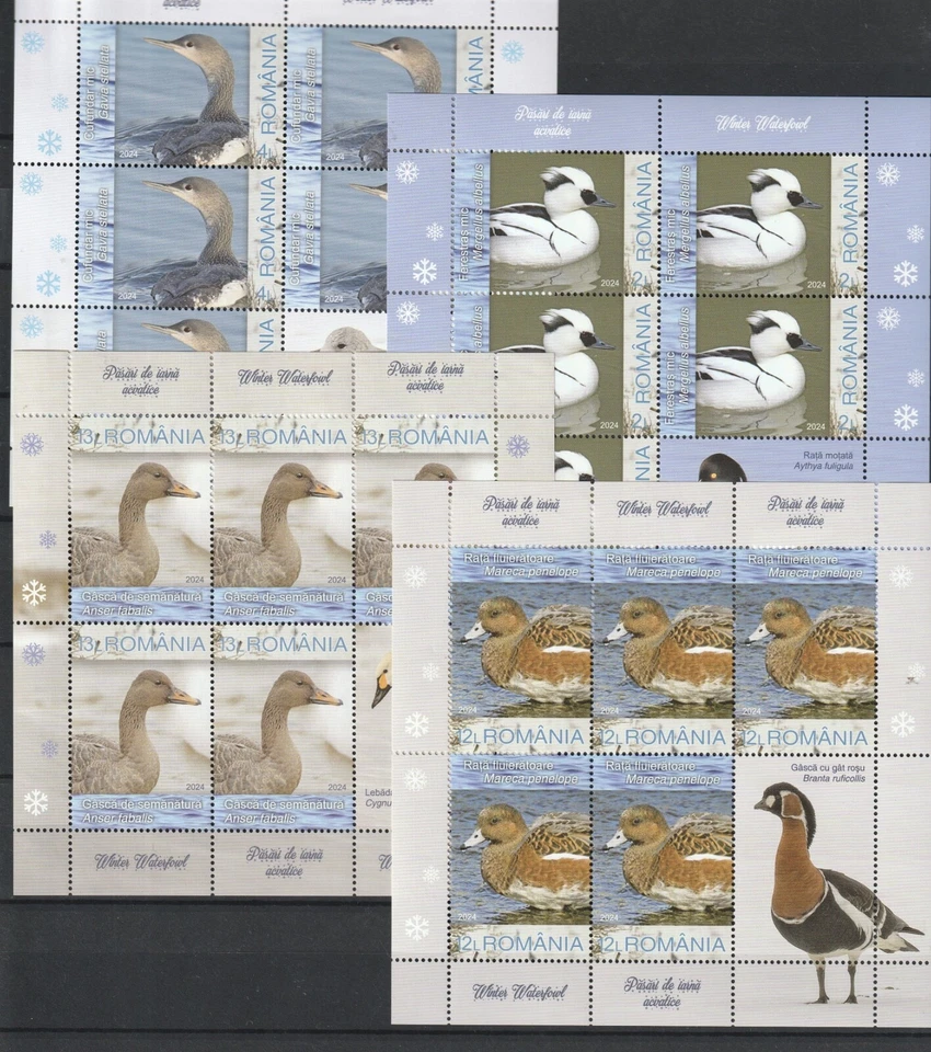 Rumania SELLOS 2024 INVIERNO AVES POST MNH Hojas Foto 1 de 1