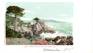 Midway Point, Near Monterey, Cal. Detroit Photographic Undivided Postcard - Picture 1 of 2
