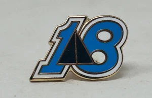 Autozone 18 Year Loyalty Lapel Pin Employee Service Hat Shirt - Picture 1 of 2