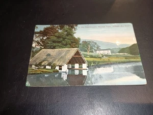 Im Buchenwald, Mourne Park, KILKEEL, County Down, Ulster - Bild 1 von 2