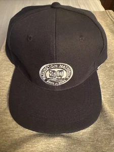 Washington Nationals 20th Anniversary MLB Baseball Hat 4/26/25 SGA NATS20 NEW! - Picture 1 of 3