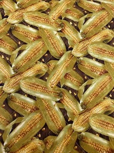 CORN ON THE COB Quilted Fabric For Sewing, Home Decor, Crafts - Picture 1 of 5