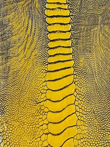 GENUINE OSTRICH LEG SKIN LEATHER HIDE EXOTIC LEATHER - Picture 1 of 6