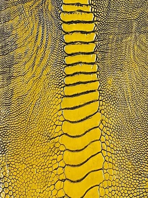 PIEL DE PIERNA DE AVESTRUZ GENUINA PIEL CUERO EXÓTICO Foto 1 de 4