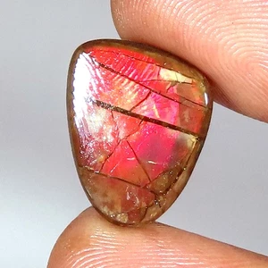 natural AMMOLITE cabochon loose gemstone 7.75 Cts. (13 x 16 x 3 mm) fancy shape - Picture 1 of 7