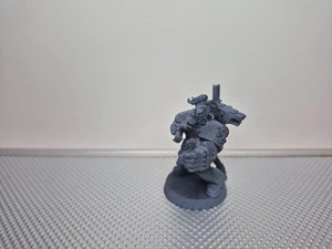 Warhammer 40K Space Wolves Custom Captain / Pack Leader Fully Assembled Primed - Picture 1 of 4