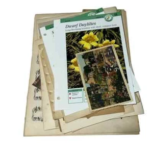 50+ piece Ephemera Lot 23 Pictures Postcards Sheet Music Etc Junk Journal Crafts - Picture 1 of 5