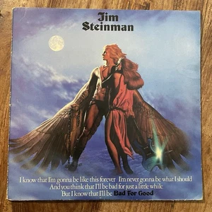 JIM STEINMAN - BAD FOR GOOD  VG+/EX+ VINYL LP / LYRIC INNER / + 7" / UK FIRST - Picture 1 of 16