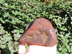 Oregon Red & Gold Mottled Rhyolite Nodule (3 pounds+) Rare and Unusual - Picture 1 of 16