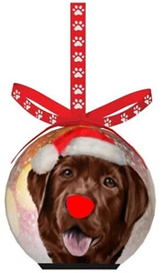 Twinkling Treasures 3D Blinking Christmas Ornament - 3.5" - CHOCOLATE LABRADOR - Picture 1 of 1