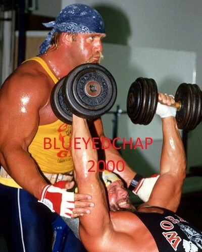 HULK HOGAN & RANDY SAVAGE WRESTLER 8 X 10 WRESTLING PHOTO WWF WCW - Image 1 of 1