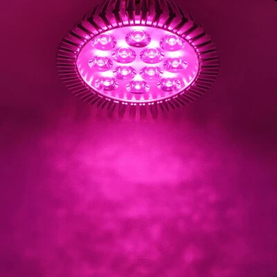 36W PAR38 Full Spectrum 400~840nm LED Lamp Spot Light Bulb Therapy Plant E27 E26 - Image 1 of 4