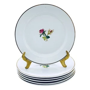 Antik 1891 Wedgwood Royal Stone Wappen Glanz Mittagessen Teller WÄHLEN - Bild 1 von 8