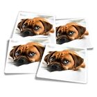4x Square Stickers 10 cm - Puggle Beagle Pug Dog Puppy  #16240