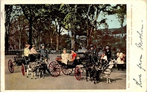 New York NY Postcard Fancy People on Goat Carriages Central Park Posted 1904 - Picture 1 of 3