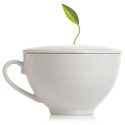 Cafe Cup Porcelain Tea Cup and Lid Custom Cover Keeps Tea Hot While Steeping - Image 1 of 4