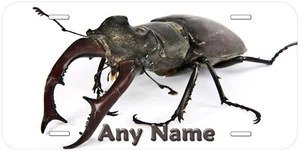 Matrícula de coche Stag Beetle personalizada novedad - Imagen 1 de 3
