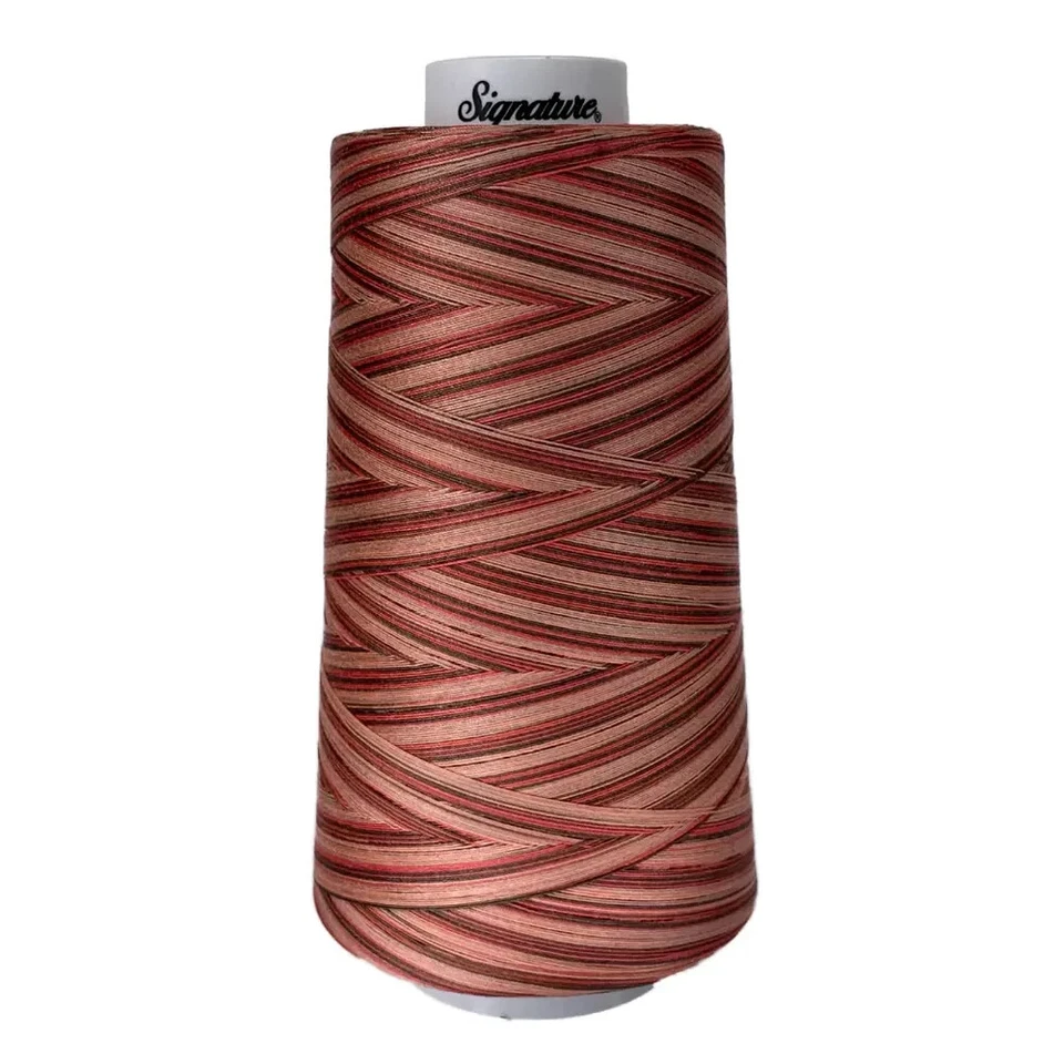 Signature Variegated 40 weight cotton thread 3000 yard cone- Canyon View - Image 1 of 1