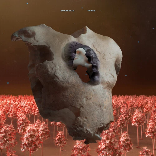 Torso by Soap&Skin (Record, 2024)