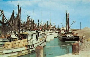 Garnelenboot Margo entlang des Golfs von Mexiko Fronleichnam, TX Vintage 1960er Postkarte - Bild 1 von 2