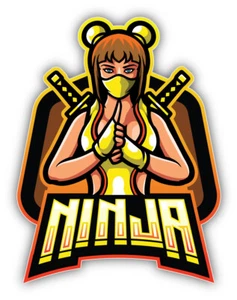 Ninja Mascot Vinyl Sticker Decal - Picture 1 of 1